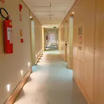 Hotel Cullinan 5 Estrelas Em Brasilia